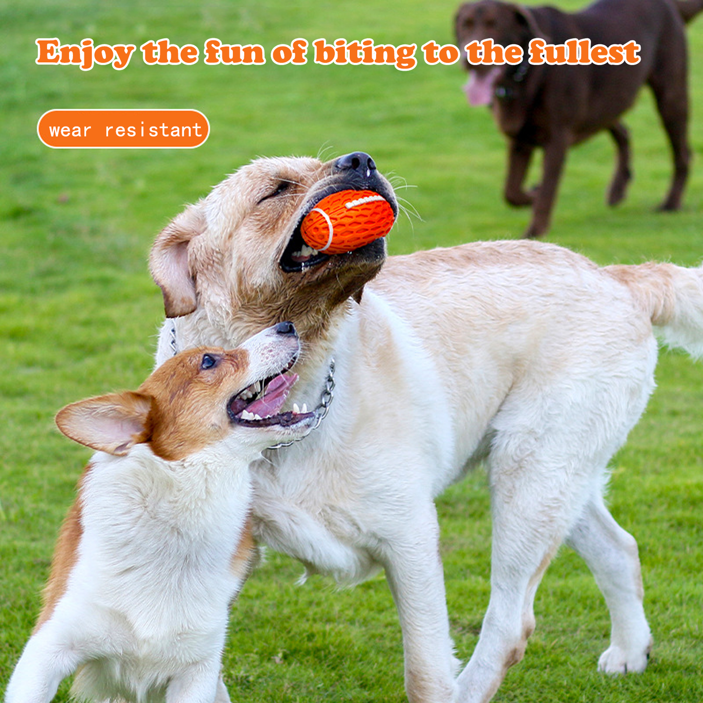 Squeaky Balls for Dogs, Rubber Football for Aggressive Chewers, Fetch Toys, Durable and Interactive Ball, Funny Squeaky Ball Heavy Duty (Orange, Large)