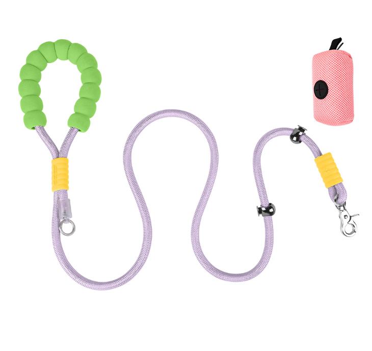 Dog leash, explosion-proof dash, small and medium-sized dog protection, Corgi, Border Collie, Shiba Inu, dog walking leash, neck loop, dog leash chain