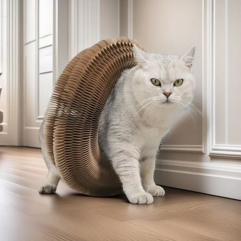 Magic Organ Cat Scratch Board Toy,Foldable Cat Toy with A Bell Ball for Cats Grinding Claws and Play