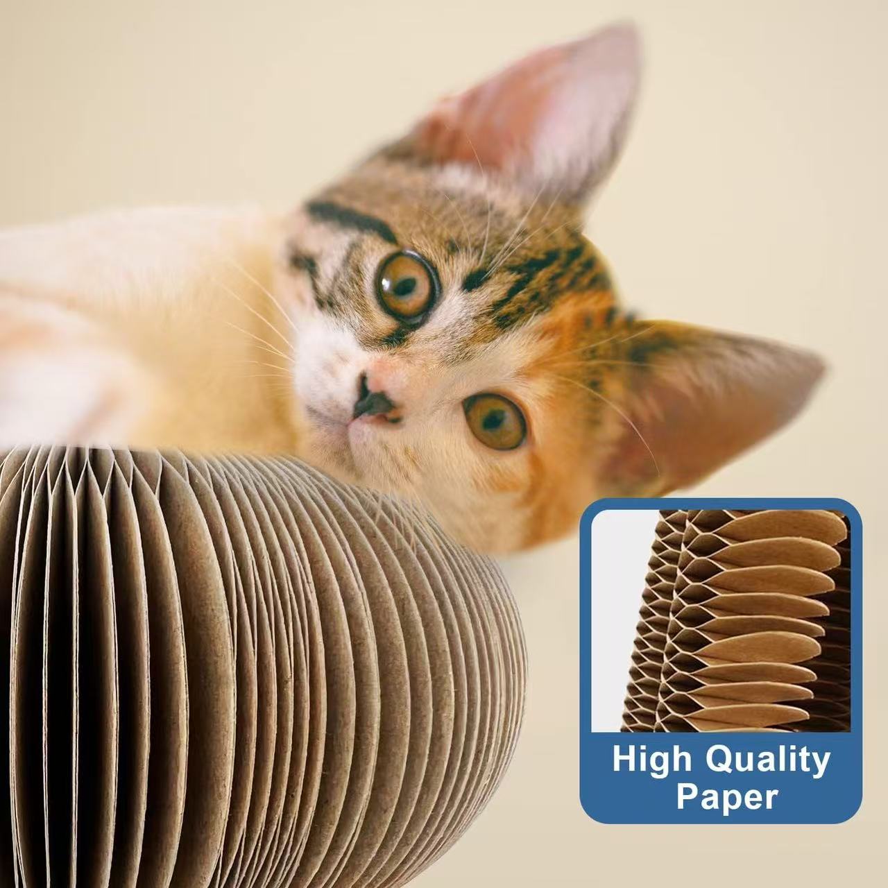 Magic Organ Cat Scratch Board Toy,Foldable Cat Toy with A Bell Ball for Cats Grinding Claws and Play