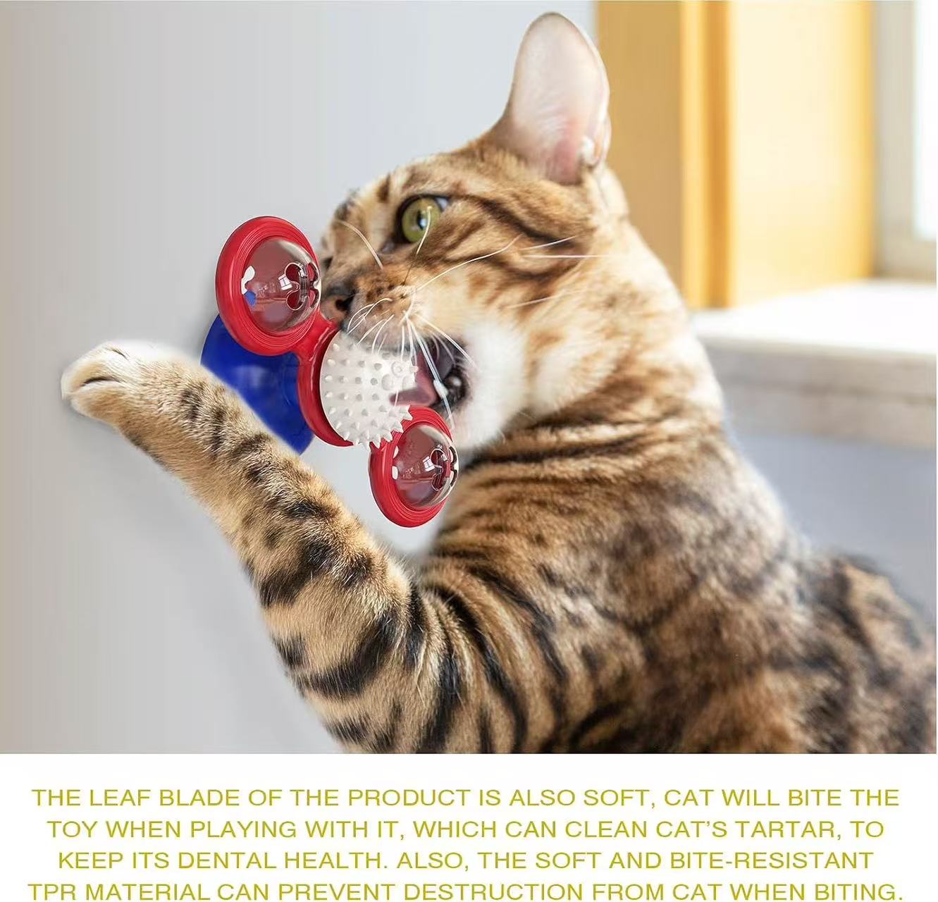 Interactive Windmill Cat Toys with Catnip : Cat Toys for Indoor Cats Funny Kitten Toys with LED Light Ball Suction Cup‖Cat Nip Toy for Cat chew Exercise (Multi-Colored)
