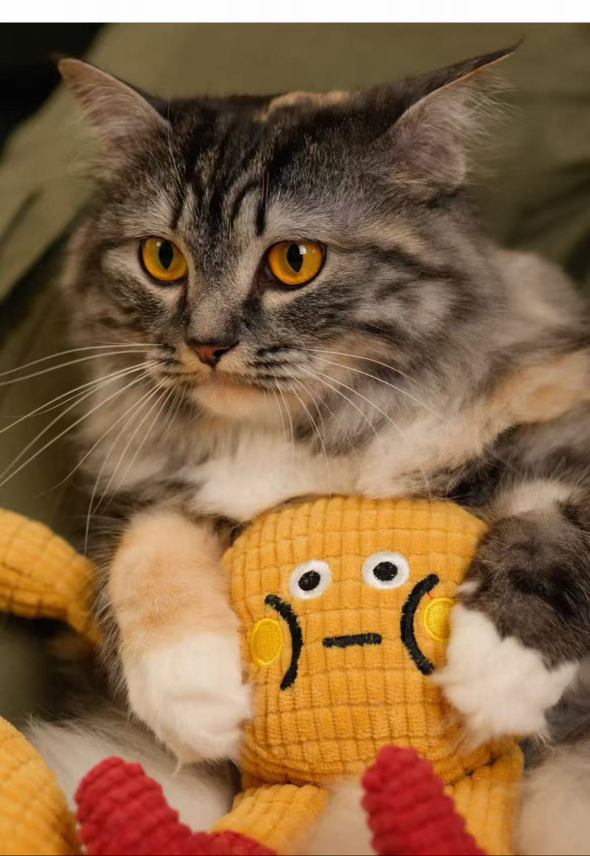 Adorable squeaky catnip toys for your cat or dog! Perfect for solo play, tough enough to chew, great for teeth grinding and keeping teeth clean.